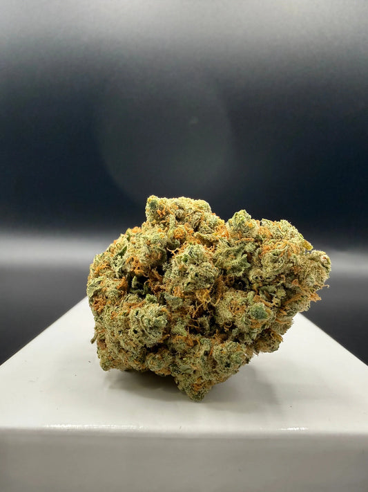 AMNESIA US HE Amsterdam (Indoor HIGH) EASYQUAL CBD SHOP