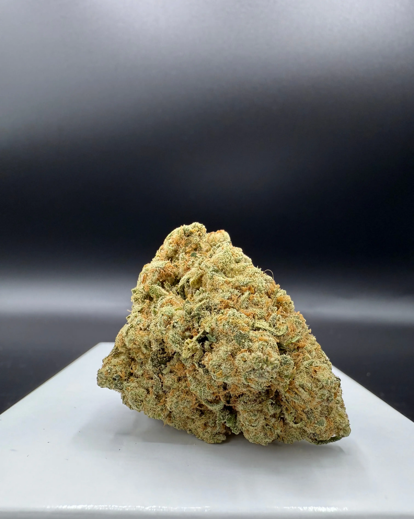 Amnesia Hydro (Indoor) EASYQUAL CBD SHOP