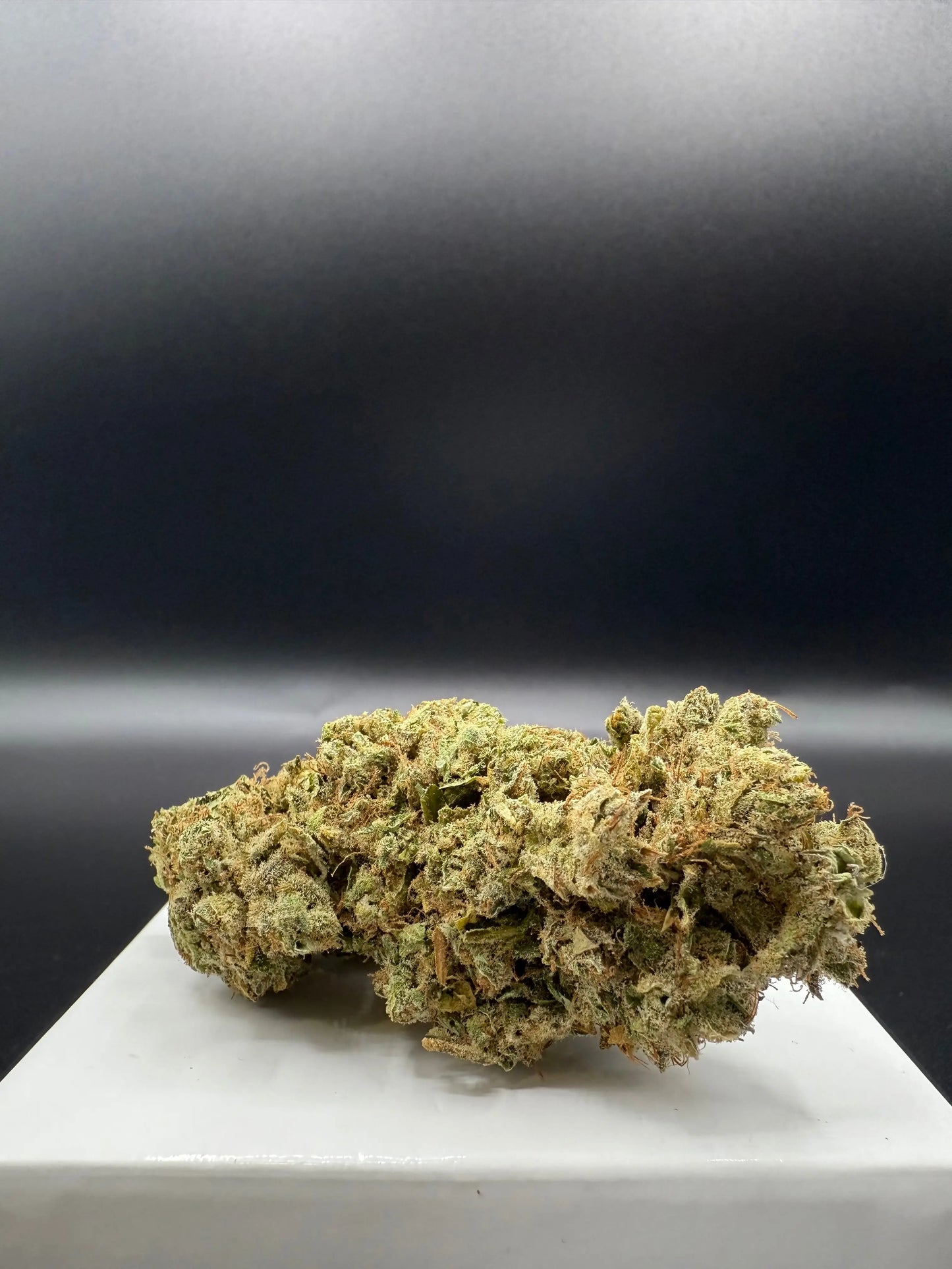 Cookie cream (Indoor) EASYQUAL CBD SHOP