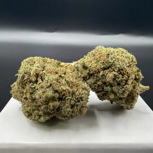 Gelato (Indoor) EASYQUAL CBD SHOP