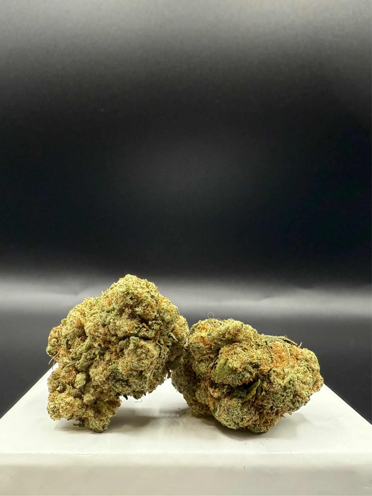 Jack herer (Indoor) EASYQUAL CBD SHOP
