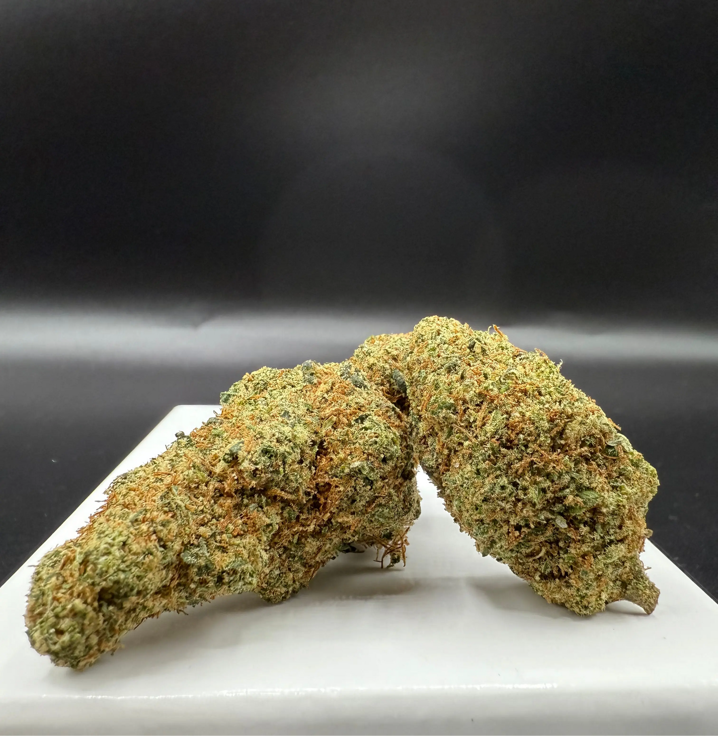 LEMON x Mimosa HE EASYQUAL CBD SHOP
