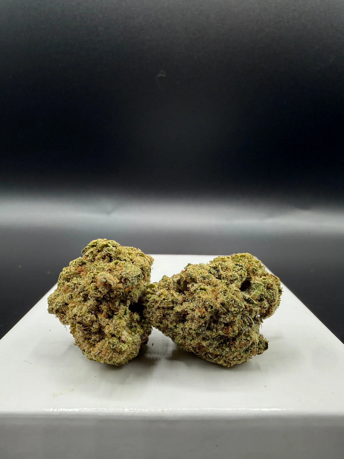 Malabar Indoor : Fleur CBD Indoor EASYQUAL CBD SHOP