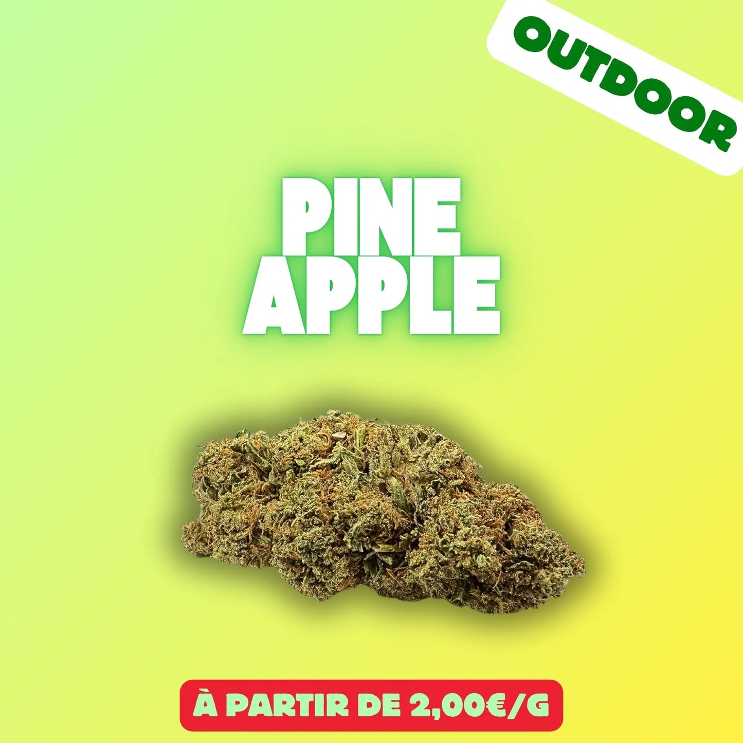 Pineapple (Greenhouse) EASYQUAL CBD SHOP