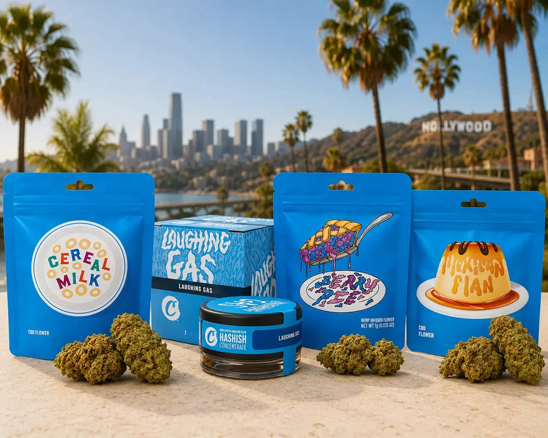 Cookies US CBD : origine, histoire et particularités de cette variété emblématique EASYQUAL CBD SHOP