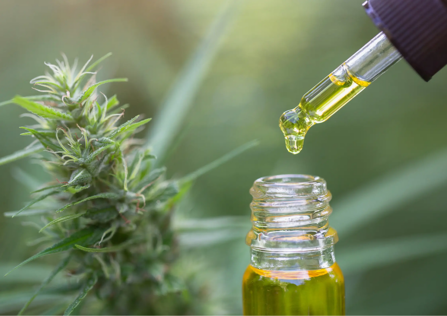 Huiles CBD EASYQUAL CBD SHOP