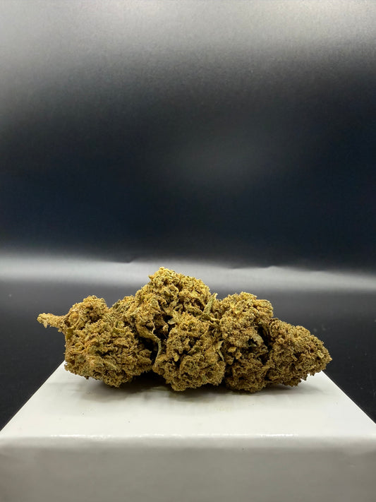 Casper 10-OH+ 30%(Hybride Premium)