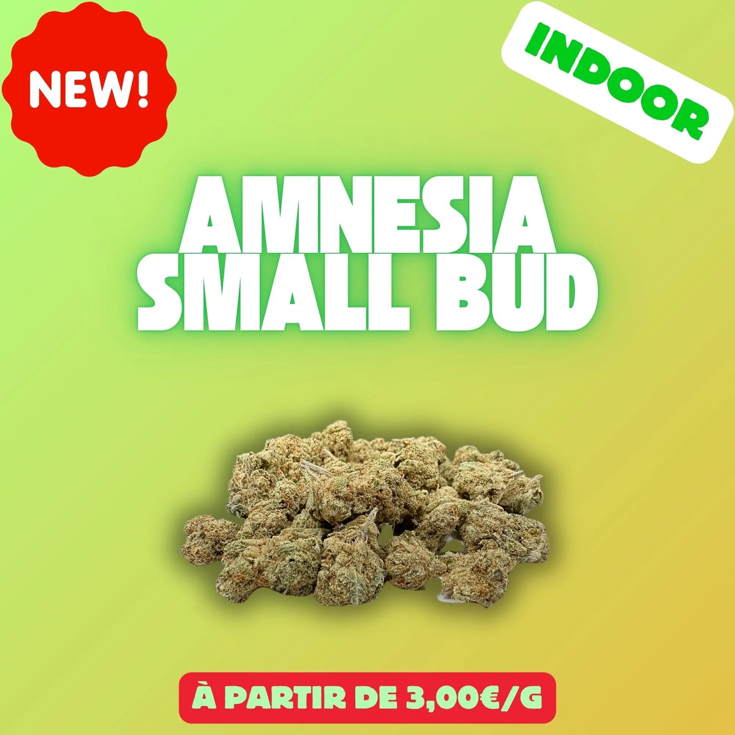Amnesia mini bud (Indoor) EASYQUAL CBD SHOP