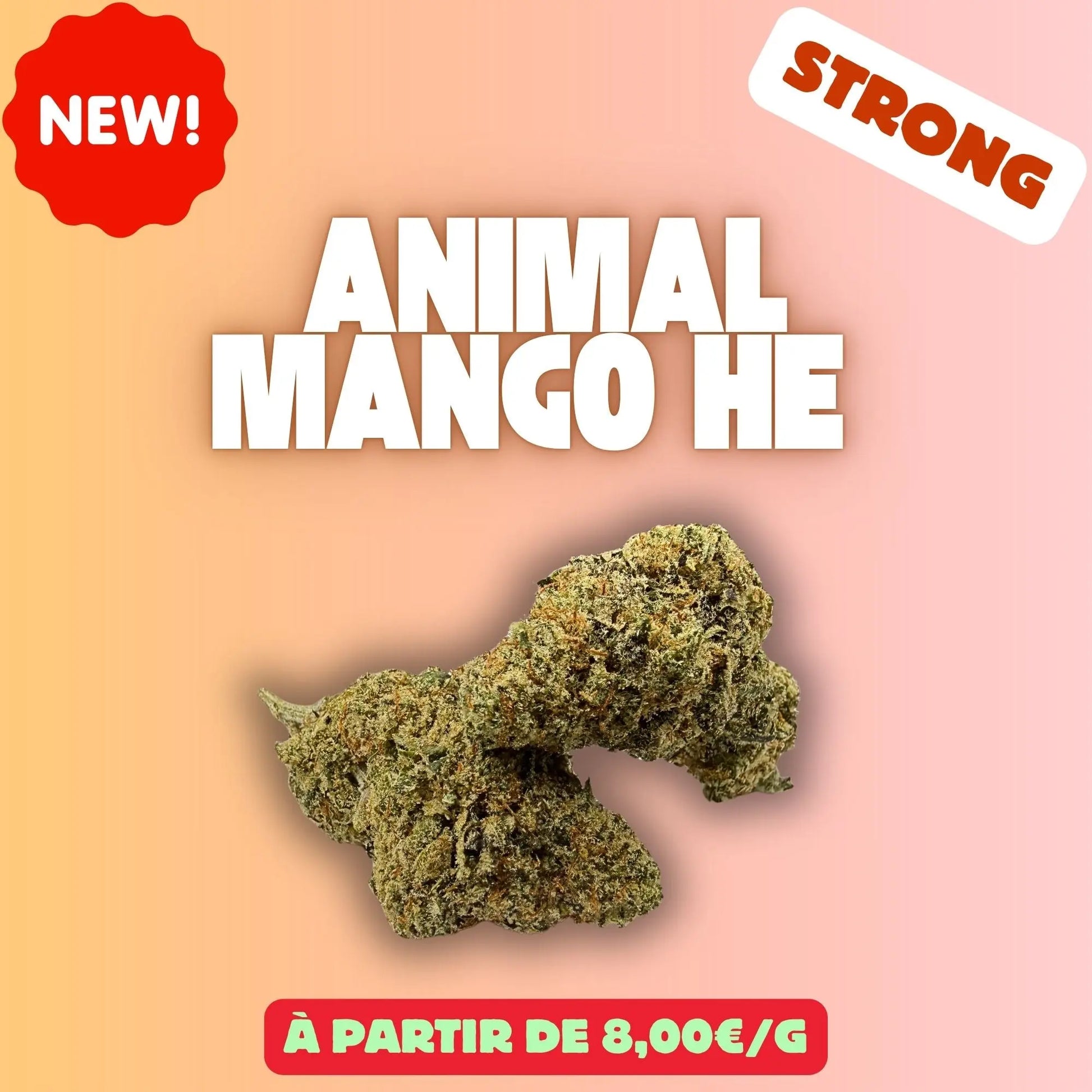 Animal Mango HE – Fleur CBD Premium EASYQUAL CBD SHOP