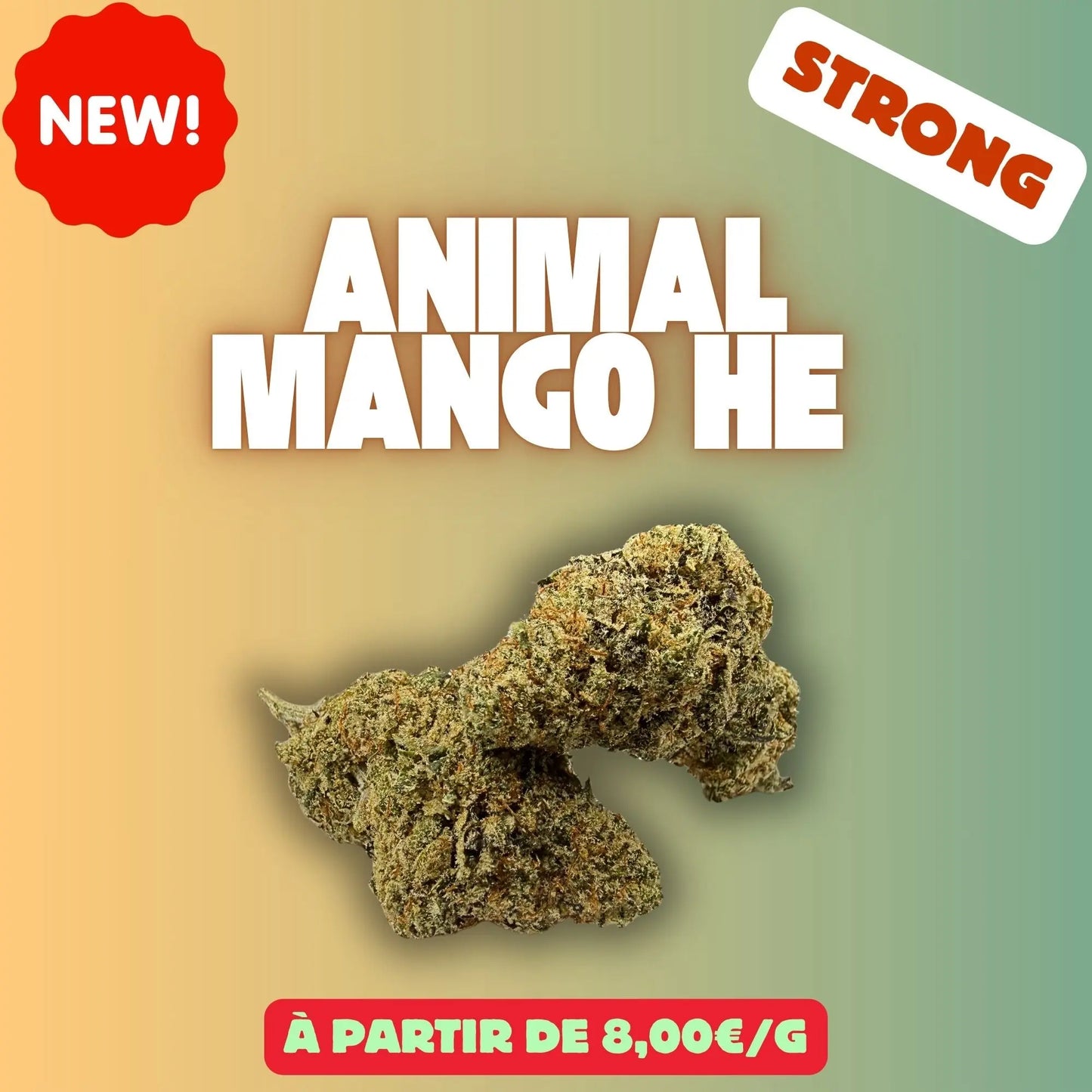 Animal Mango HE – Fleur CBD Premium EASYQUAL CBD SHOP