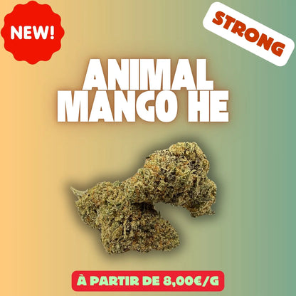 Animal Mango HE – Fleur CBD Premium EASYQUAL CBD SHOP
