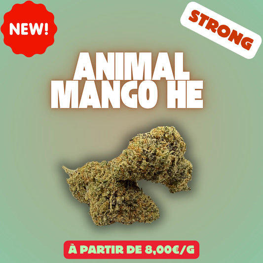 Animal Mango HE – Fleur CBD Premium EASYQUAL CBD SHOP