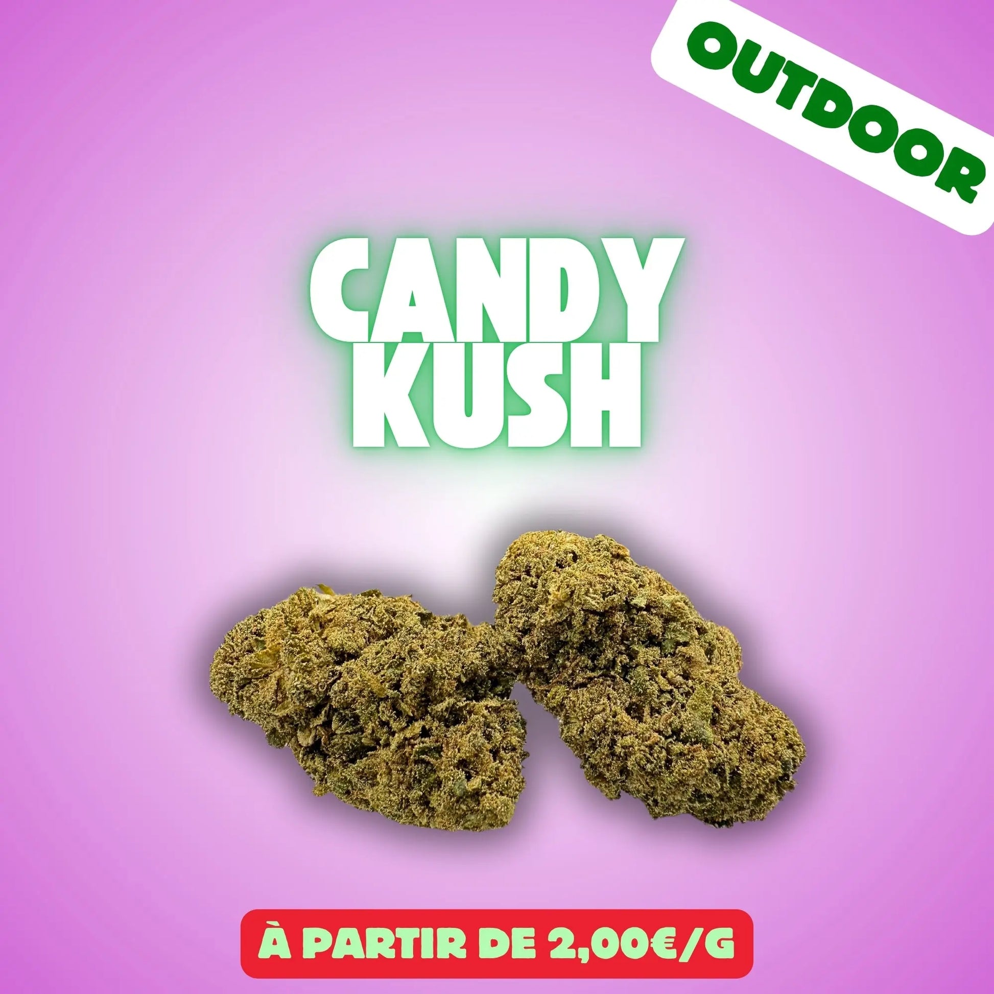 Candy kush (Greenhouse) EASYQUAL CBD SHOP