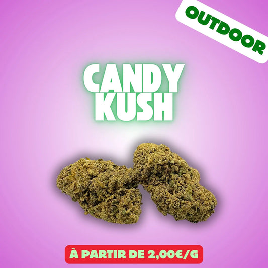 Candy kush (Greenhouse) EASYQUAL CBD SHOP