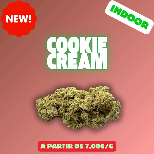 Cookie cream (Indoor) EASYQUAL CBD SHOP