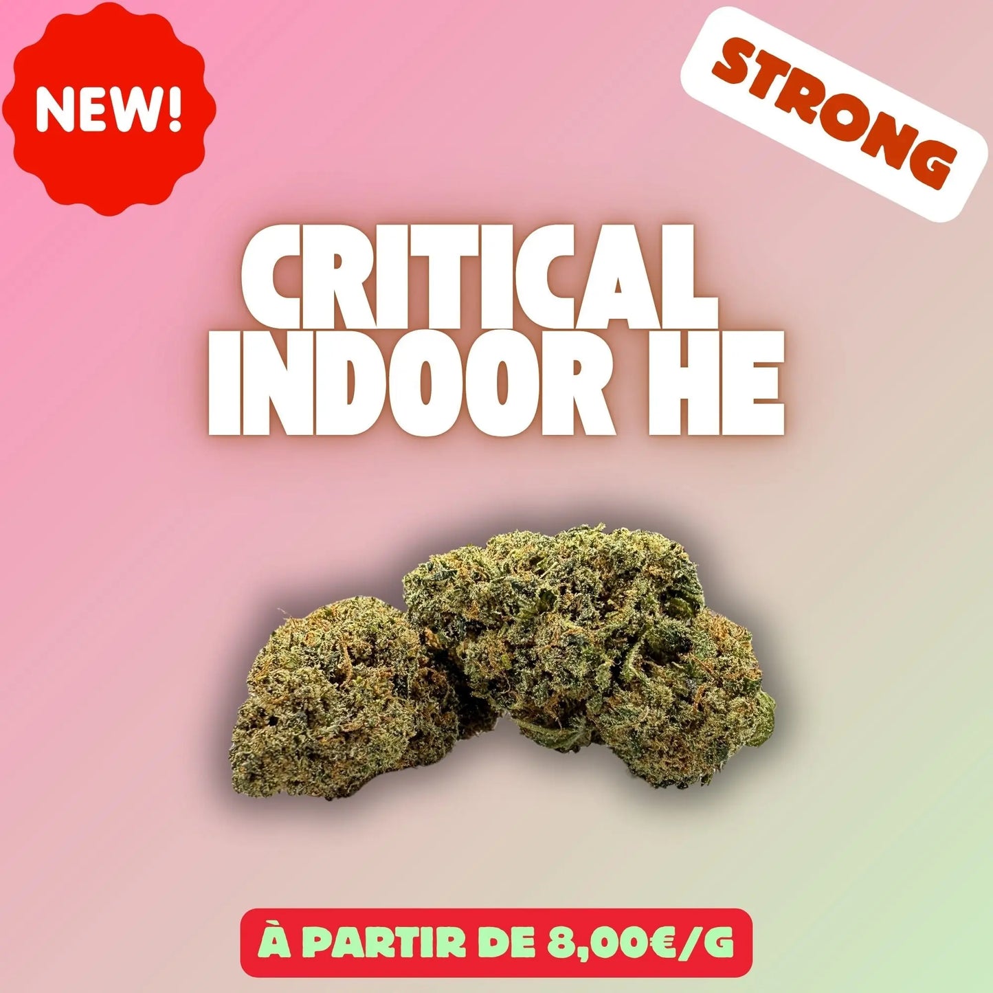 Critical indoor HE – Fleur CBD Premium EASYQUAL CBD SHOP
