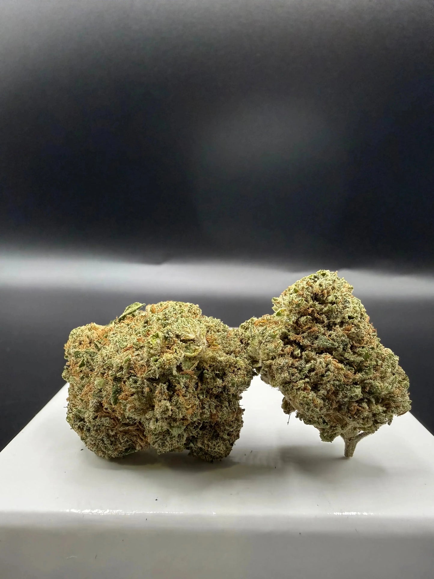 Critical (Indoor) EASYQUAL CBD SHOP