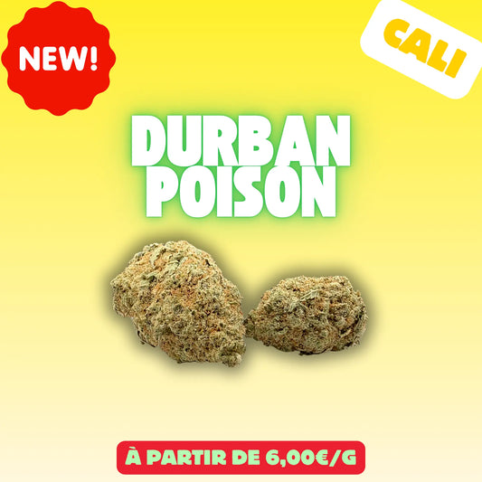 Durban Poison (Indoor cali) EASYQUAL CBD SHOP