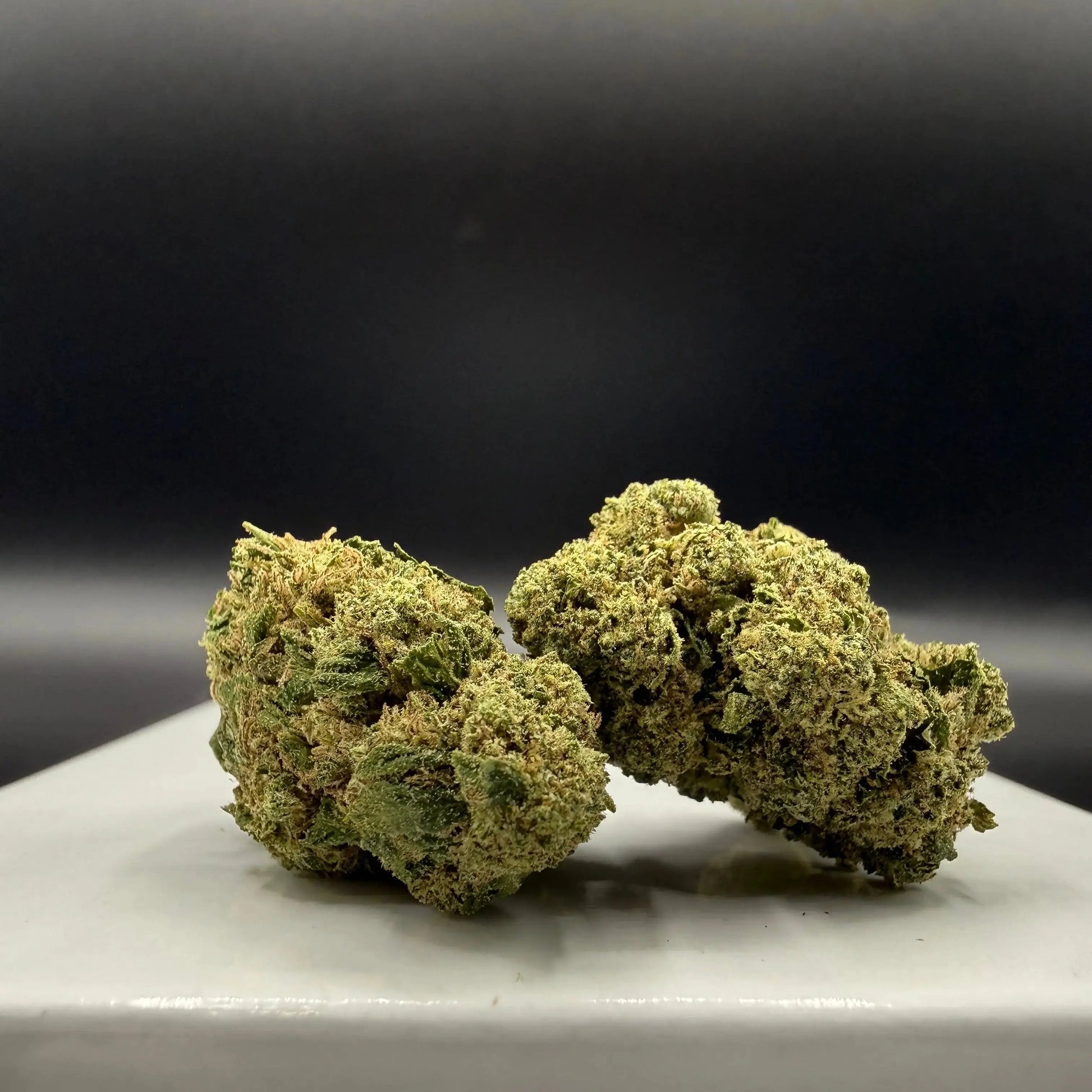 G13 hybride (Greenhouse)  EASYQUAL CBD SHOP