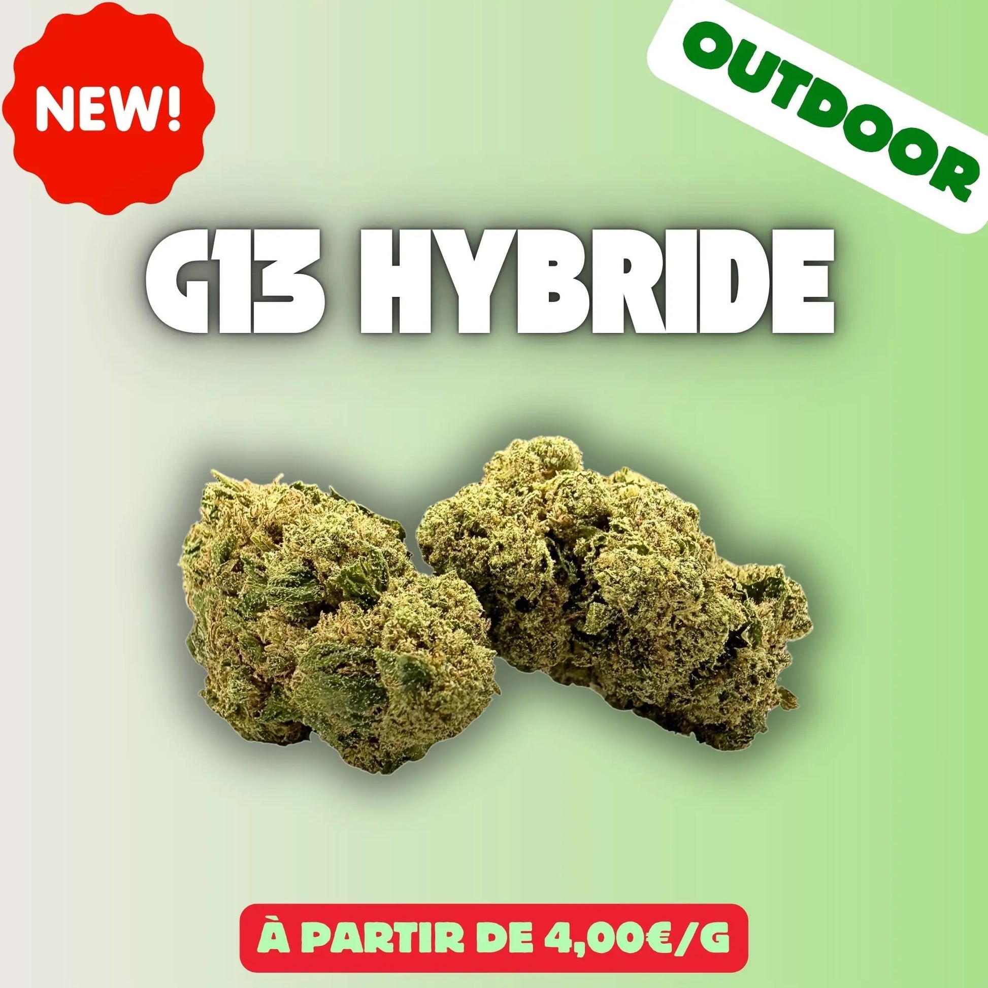 G13 hybride - Fleurs CBD Glasshouse EASYQUAL CBD SHOP