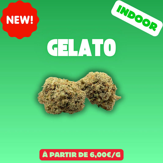 Gelato (Indoor) EASYQUAL CBD SHOP