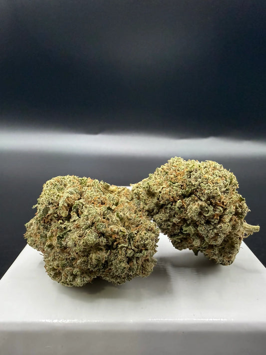 Gelato (Indoor) EASYQUAL CBD SHOP