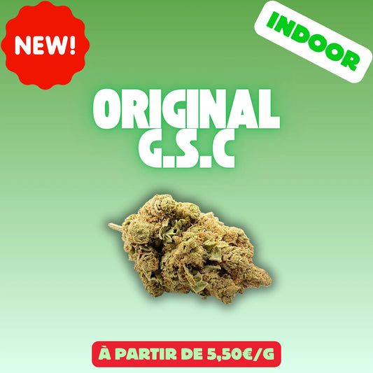 Girl Scout Cookies Indoor EASYQUAL CBD SHOP