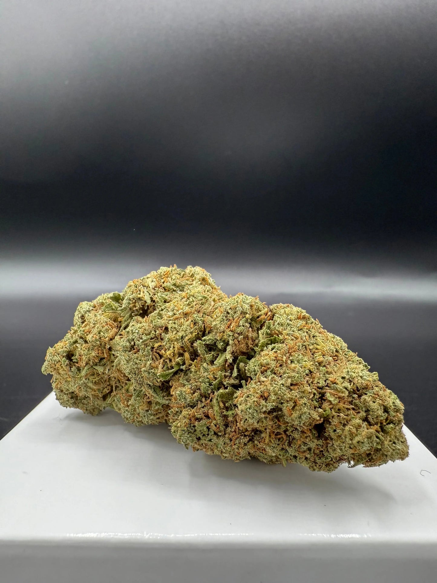 Gorilla Mandarine 2.0 (Indoor Hydro) EASYQUAL CBD SHOP