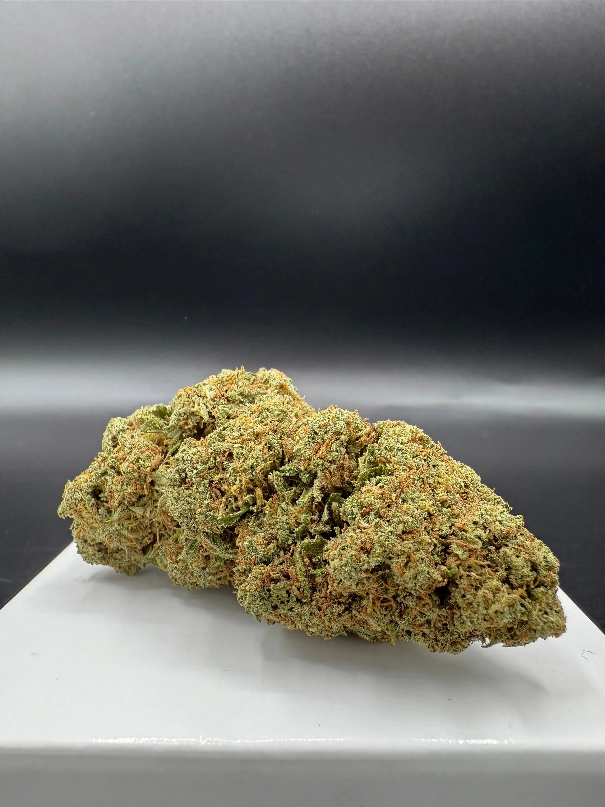 Gorilla Mandarine 2.0 (Indoor Hydro) EASYQUAL CBD SHOP