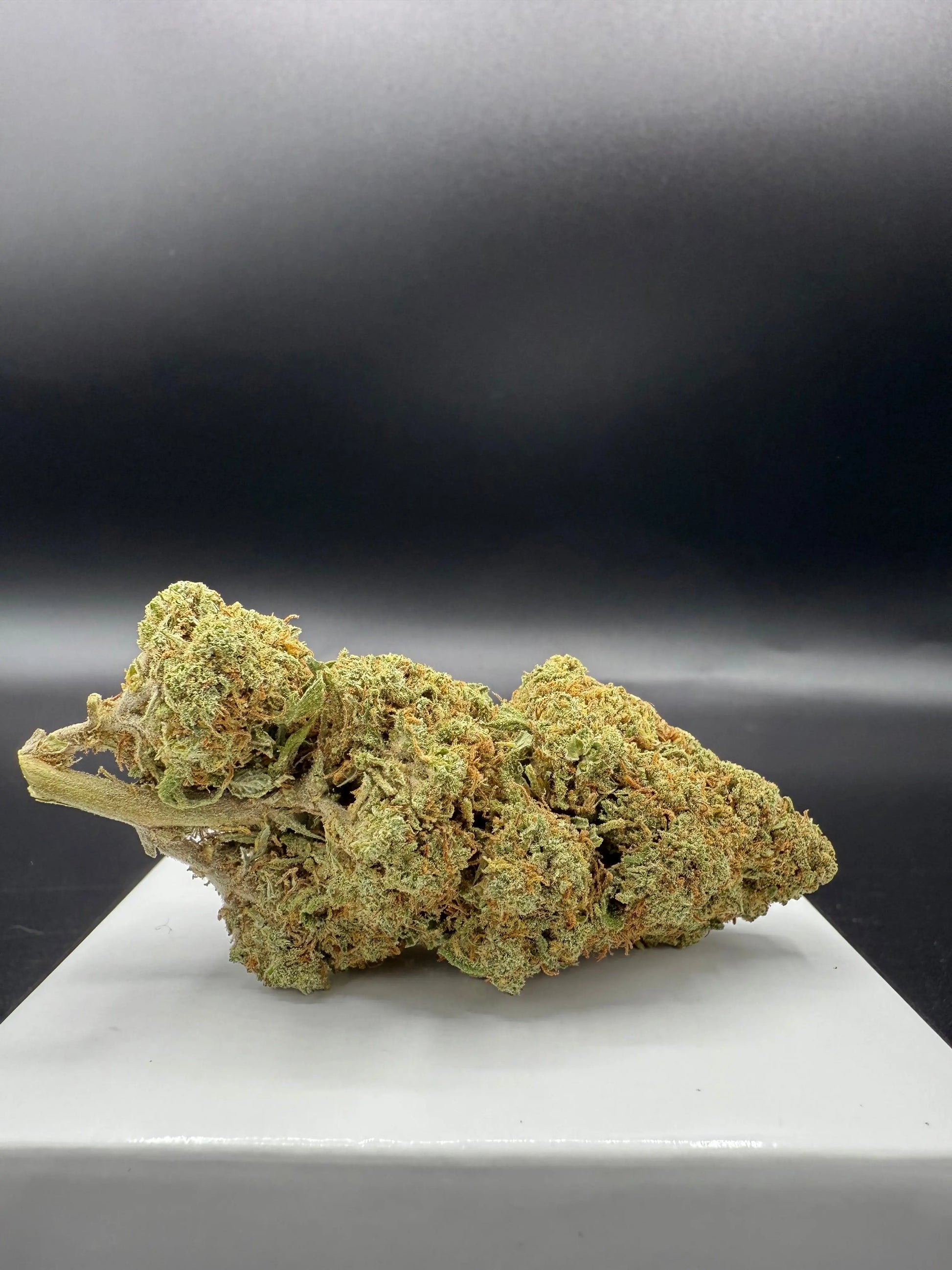Gorilla Mandarine 2.0 (Indoor Hydro) EASYQUAL CBD SHOP