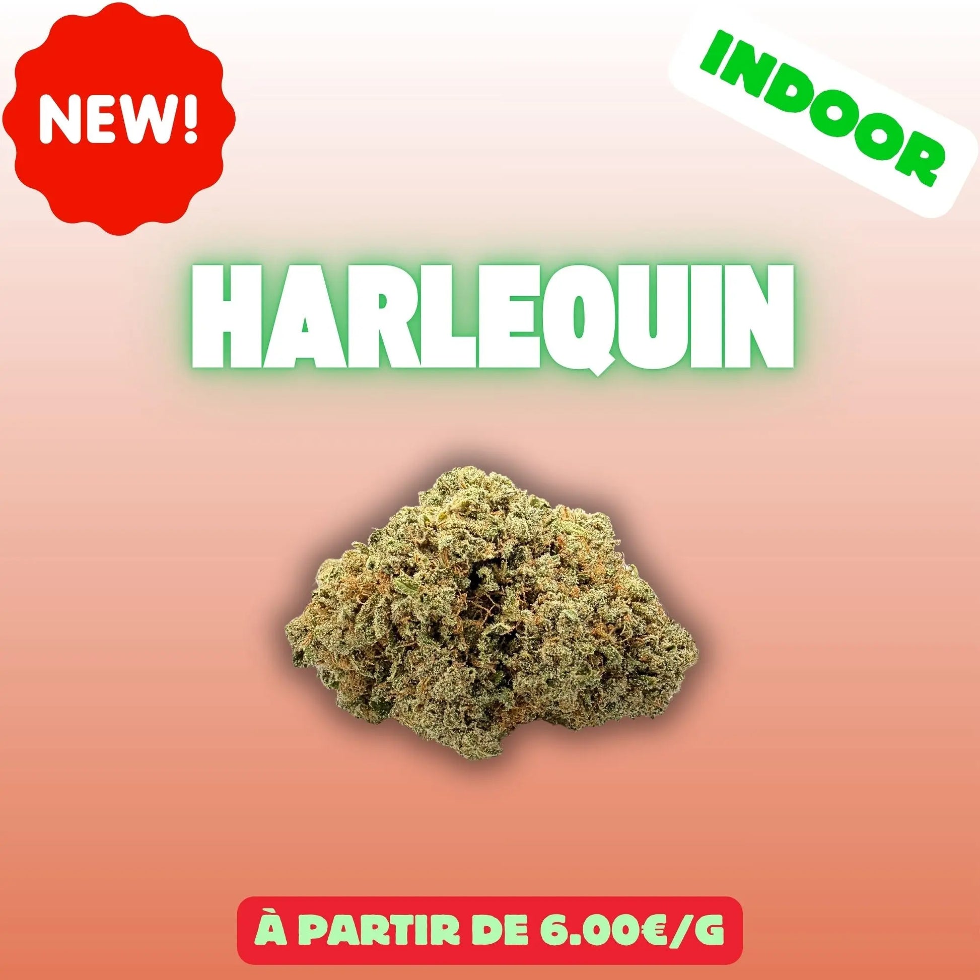 Harlequin - fleurs CBD indoor premium EASYQUAL CBD SHOP
