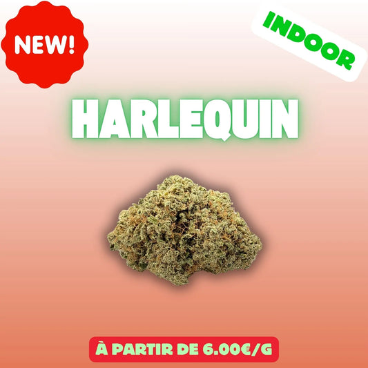 Harlequin - fleurs CBD indoor premium EASYQUAL CBD SHOP