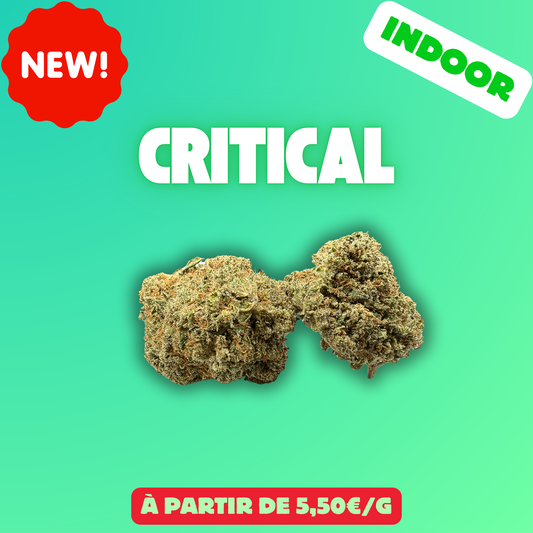 Critical (Indoor)