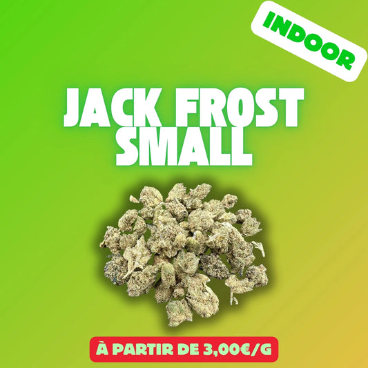 Jack frost mini bud (Indoor) EASYQUAL CBD SHOP
