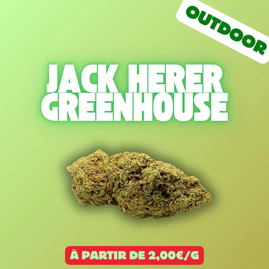 Jack herer (Greenhouse) EASYQUAL CBD SHOP