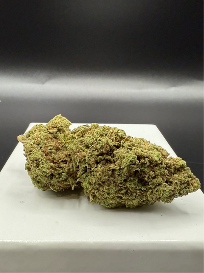 Jack herer (Greenhouse) EASYQUAL CBD SHOP