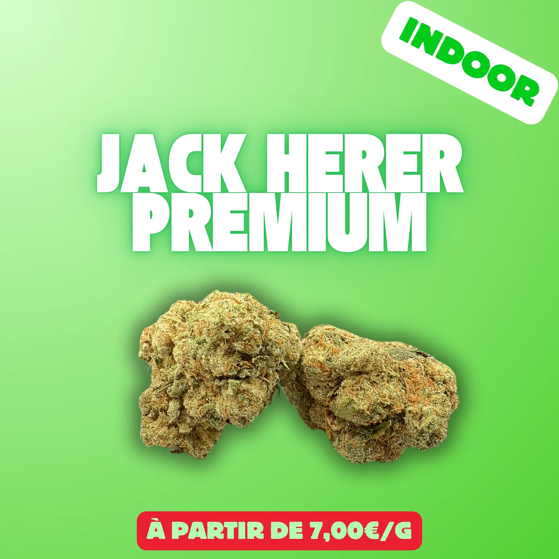 Jack herer (Indoor) EASYQUAL CBD SHOP