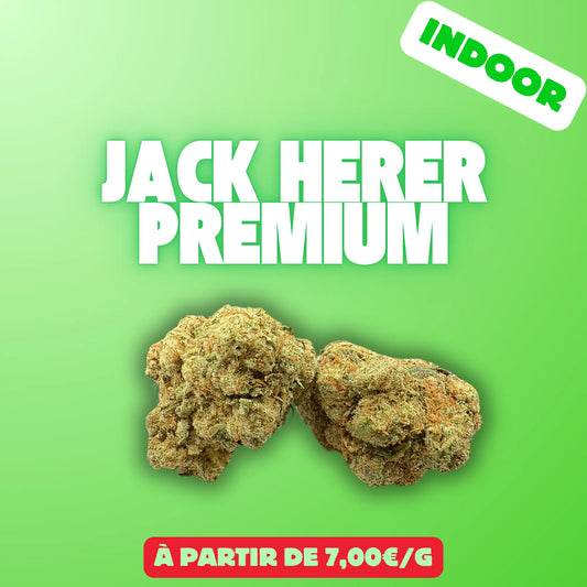 Jack herer (Indoor) EASYQUAL CBD SHOP