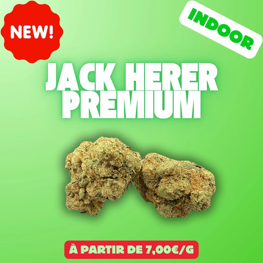 Jack herer (Indoor) EASYQUAL CBD SHOP