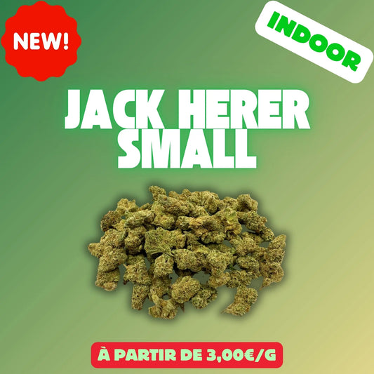 Jack herer mini bud (Indoor) EASYQUAL CBD SHOP