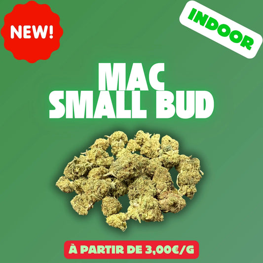 MAC mini bud (Indoor) EASYQUAL CBD SHOP