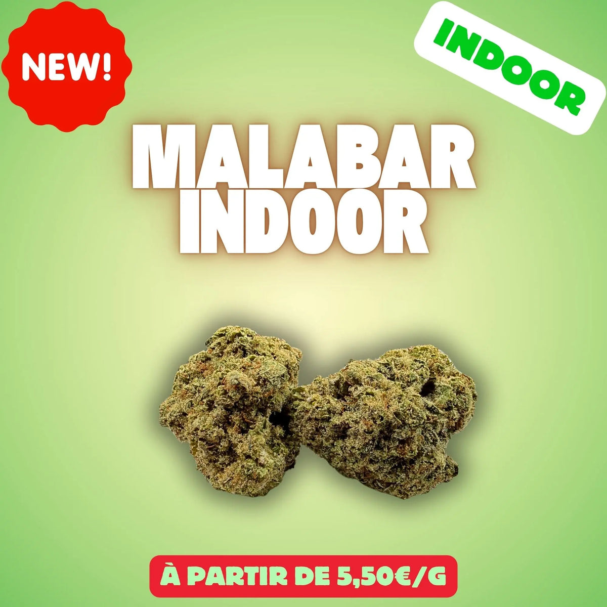 Malabar Indoor : Fleur CBD Indoor EASYQUAL CBD SHOP
