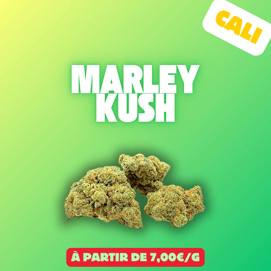 Marley kush (Indoor cali) EASYQUAL CBD SHOP