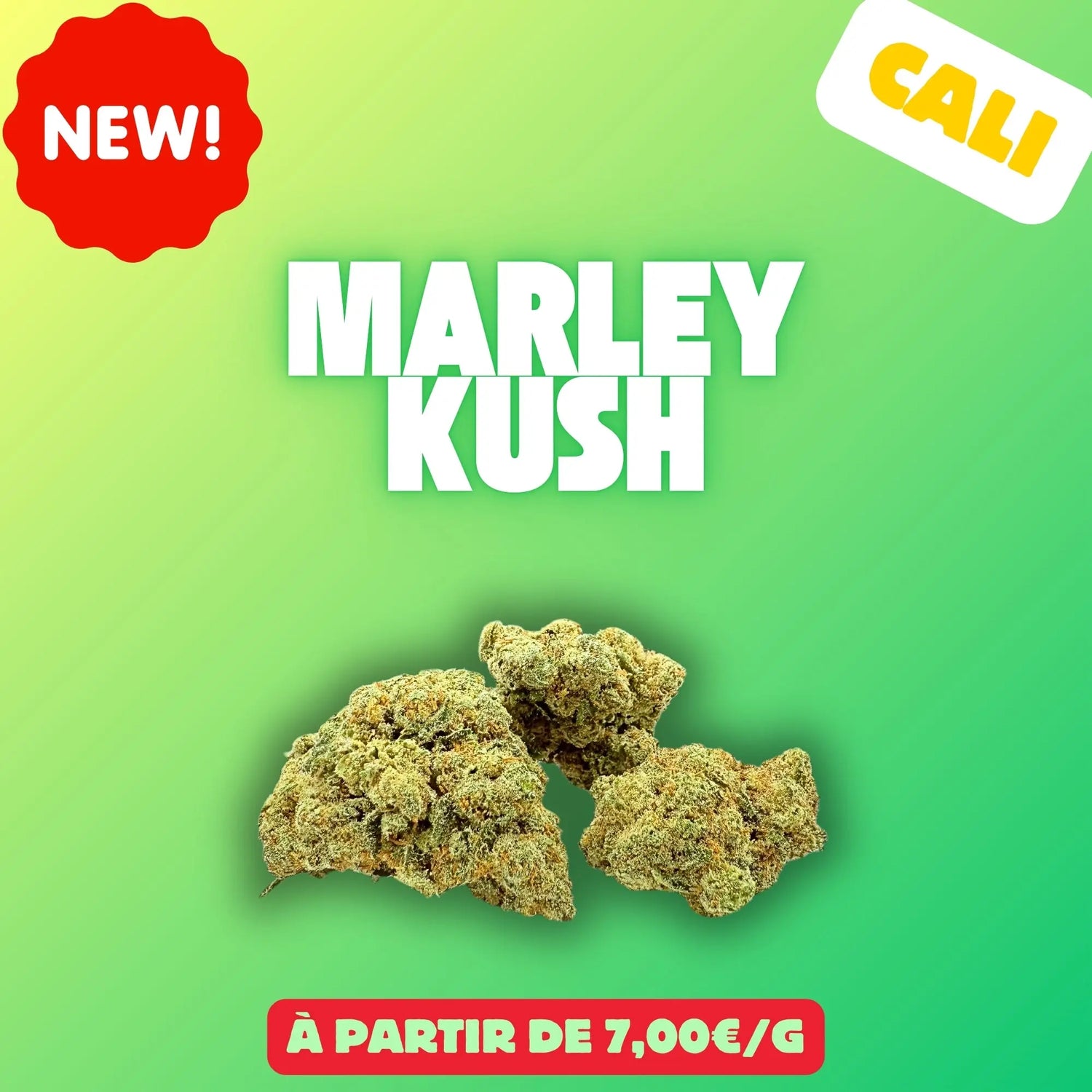 Marley kush (Indoor cali) EASYQUAL CBD SHOP