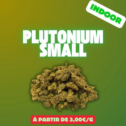 Plutonium mini bud (Indoor) EASYQUAL CBD SHOP