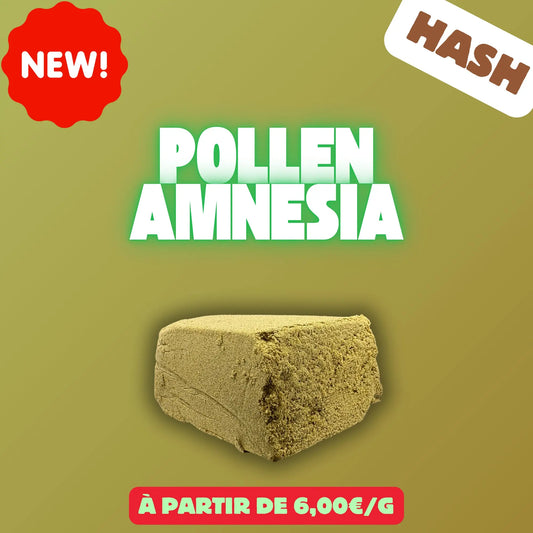 Pollen Amnesia (Résine) EASYQUAL CBD SHOP