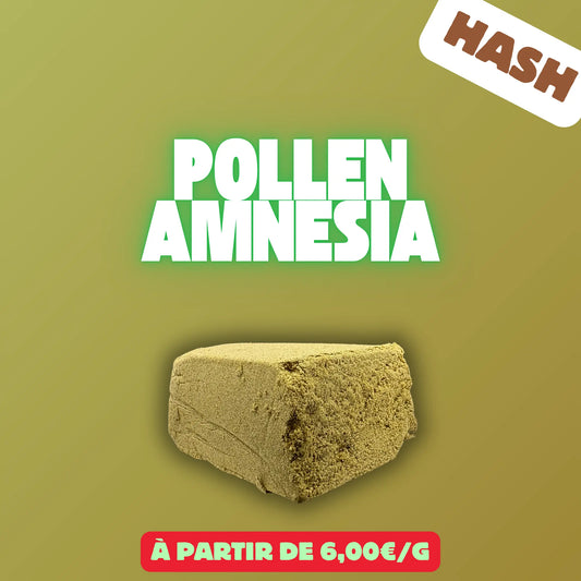Pollen Amnesia (Résine) EASYQUAL CBD SHOP