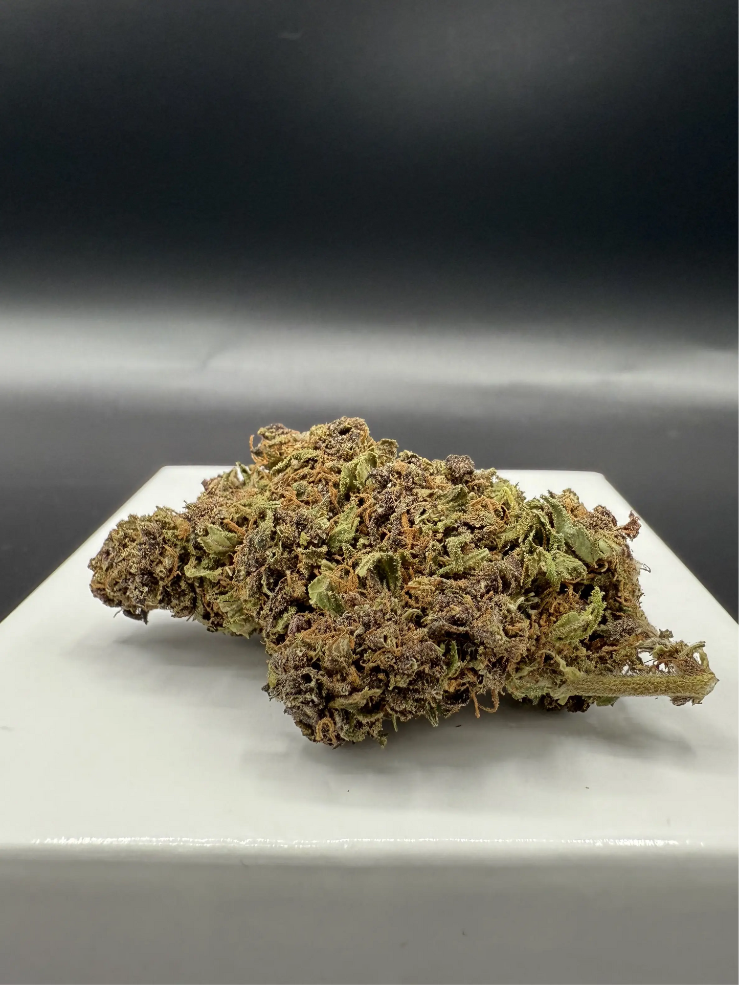 Purple regular (Hybrid Glasshouse) EASYQUAL CBD SHOP