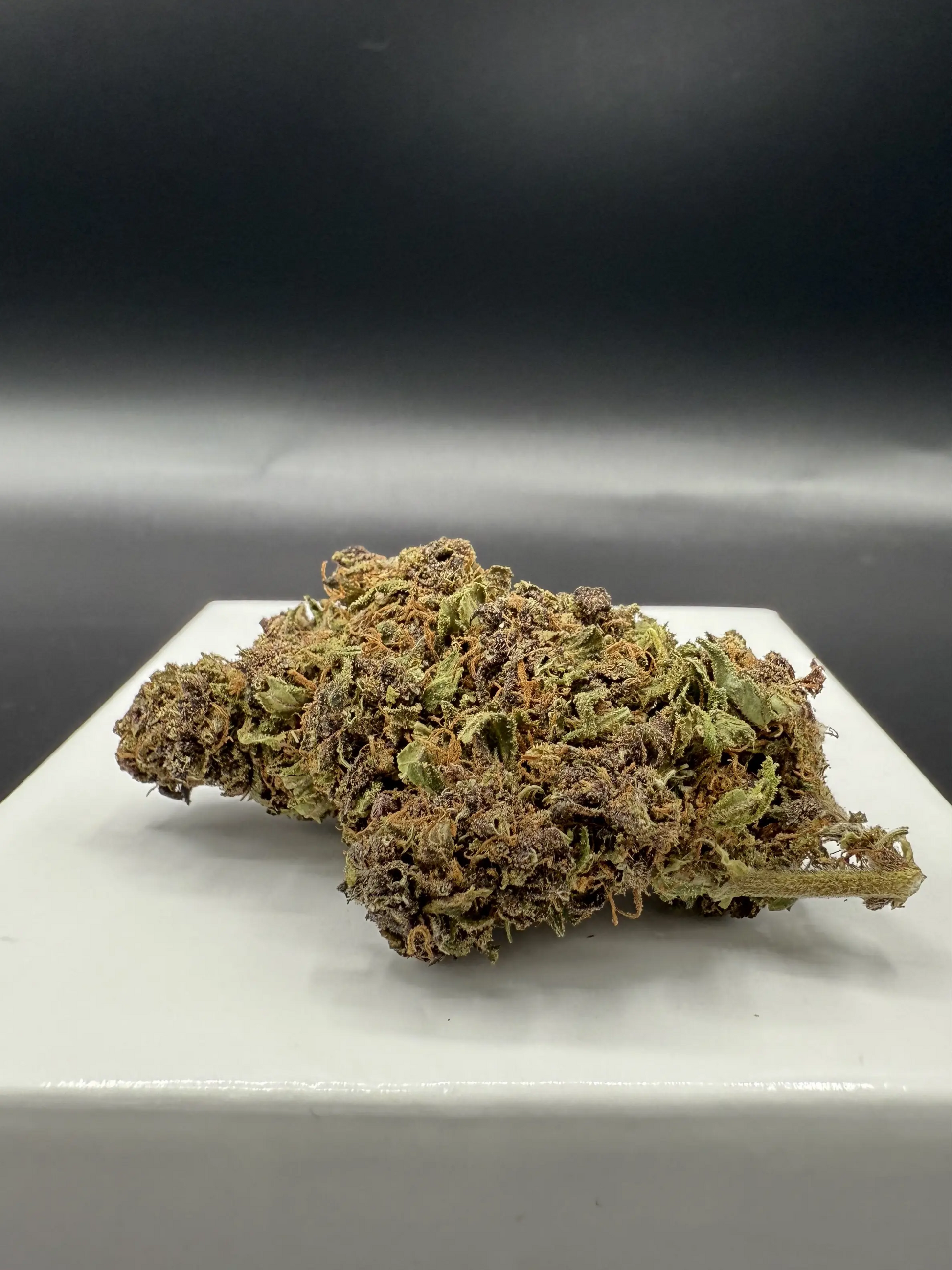 Purple regular (Hybrid Glasshouse) EASYQUAL CBD SHOP
