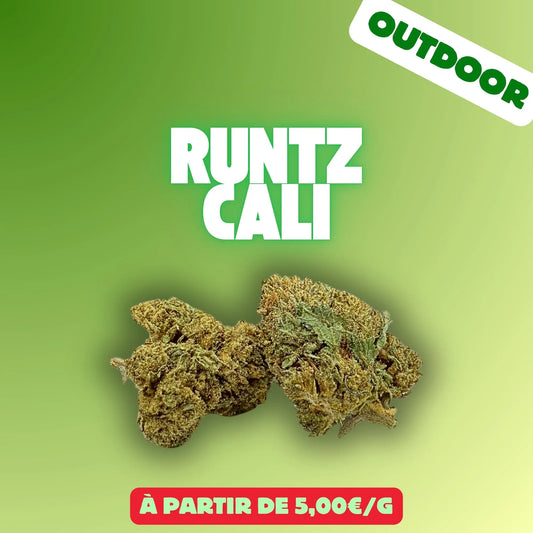 Runtz (Cali outdoor) EASYQUAL CBD SHOP
